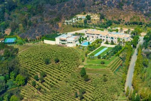 but-youll-need-all-that-storage-space-since-the-palazzo-di-amore-has-its-own-private-label-vineyard-which-produces-around-400-cases-a-year