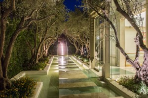guests-enter-through-a-floating-glass-floor-walkway-lined-with-olive-trees