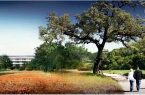 once-the-campus-is-finished-80-of-the-site-will-be-green-space