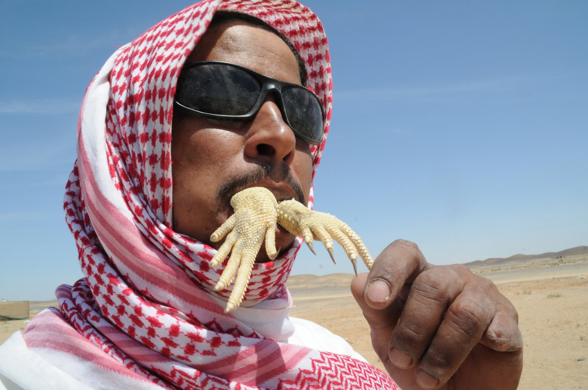 in-tabuk-saudi-arabia-a-man-eats-an-uromastyx-lizard-also-known-as-a-dabb-lizard-these-animals-served-cooked-or-raw-are-thought-to-strengthen-the-body-and-treat-diseases