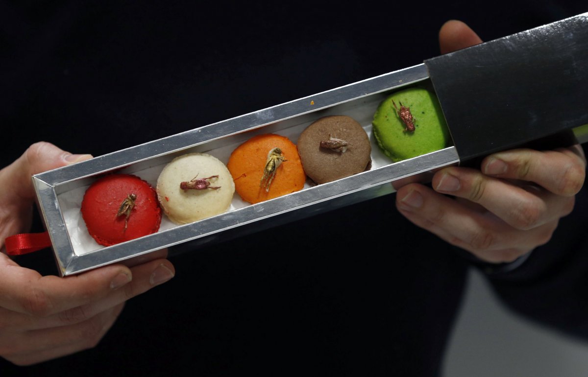 micronutris-the-only-firm-in-europe-that-raises-insects-specifically-for-consumption-made-a-batch-of-macaroons-garnished-with-dehydrated-insects
