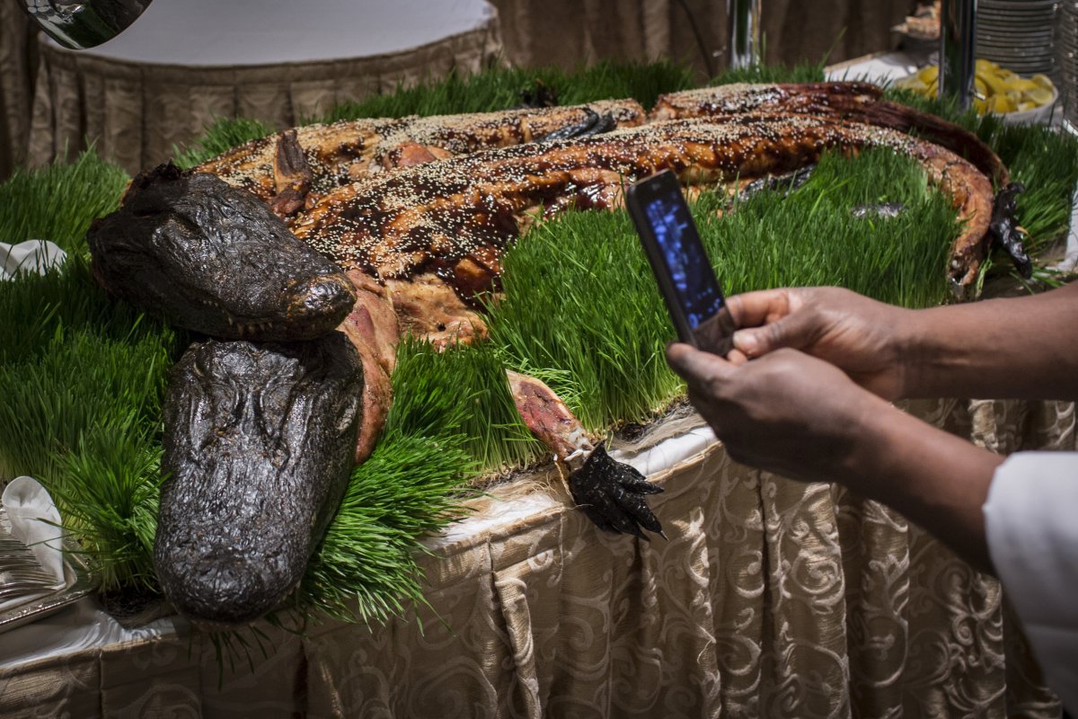 strange-delicacies-arent-exclusive-to-foreign-lands-these-whole-cooked-alligators-were-served-at-the-110th-explorers-club-annual-dinner-held-at-the-waldorf-astoria-in-new-york-city