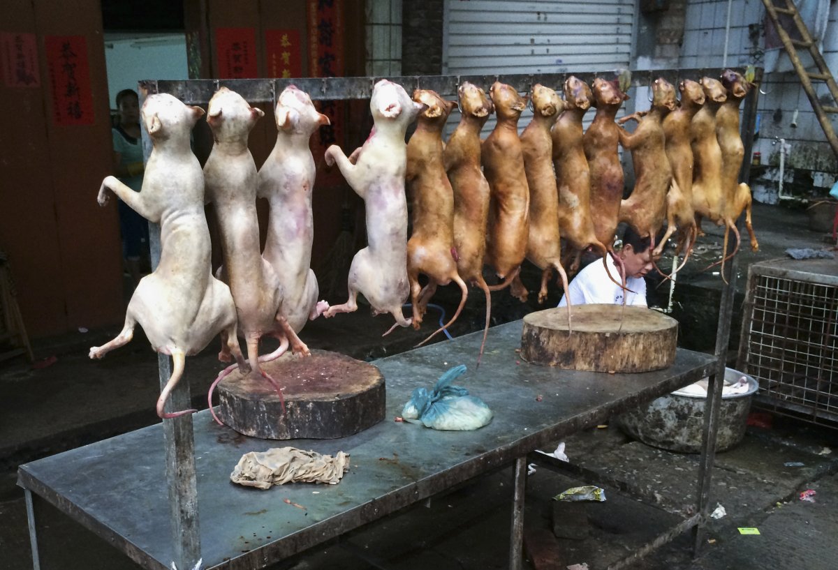 the-extremely-controversial-annual-dog-meat-festival-held-in-yulin-guangxi-zhuang-in-china--where-festival-attendees-dine-on-dog-meat--is-currently-being-protested-by-animal-activists-across-the-world