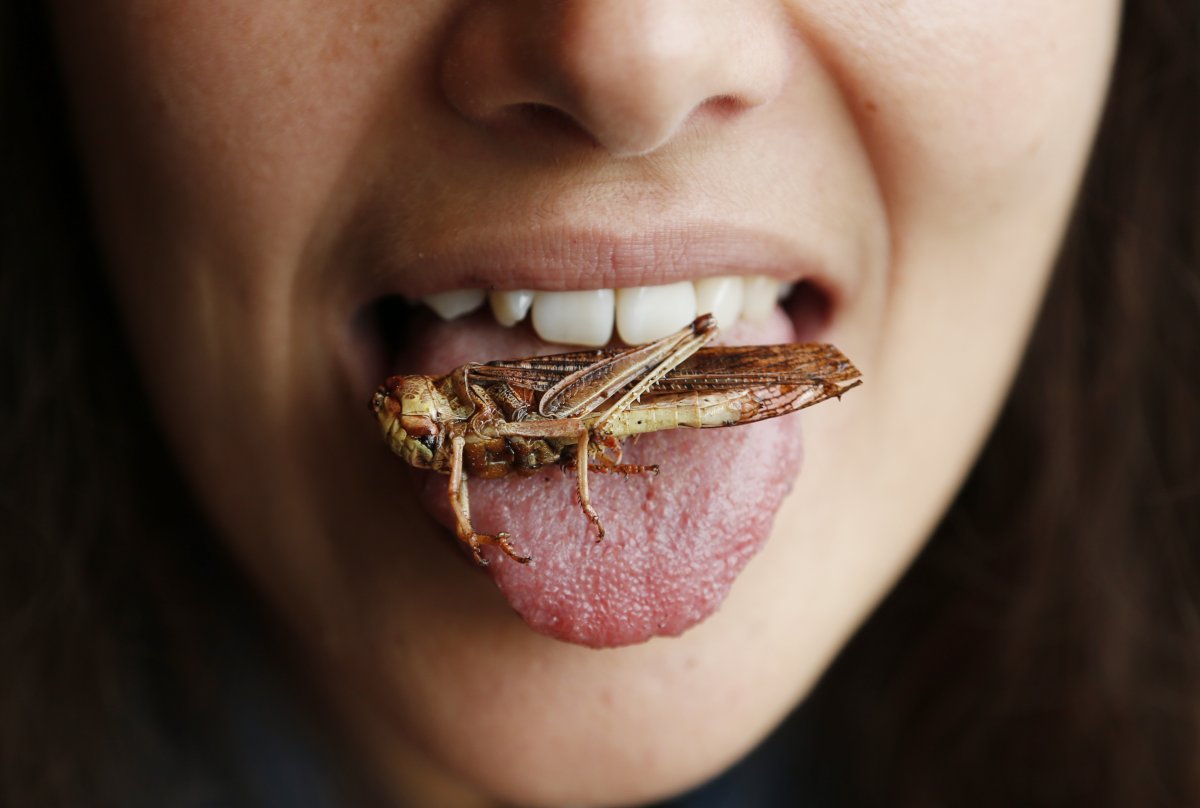 this-locust-sits-on-the-tongue-of-a-discovery-lunch-attendee-held-in-brussels-this-event-aims-to-educate-the-community-about-how-insects-can-be-a-good-form-of-nutrition