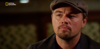 Na svete je dokumentárny film herca Leonarda DiCapria aj v čestine!