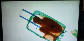 Ovčie oči, penis alebo živé myši, letisková kontrola odhaľuje najpodivnejšie veci, ktoré kedy našla u pasažierov