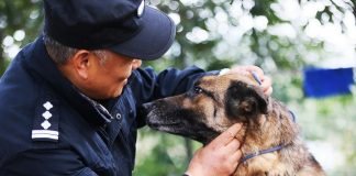 Bývalý policajný dôstojník vybudoval domov dôchodcov pre psích veteránov. On sám tvrdí, že je to jeho poslanie