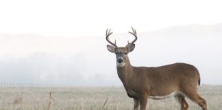 Ako si zabezpečiť ideálne podmienky na najbližšiu loveckú sezónu?