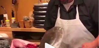 VIDEO: 110 kg vážiaci tuniak z oceánu priamo na stôl. Sushi šéf ukazuje ako na to!