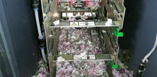 Potkan vliezol do bankomatu a zožral hotovosť v hodnote $18 000