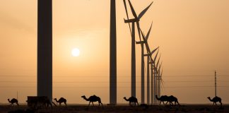 Vedci plánujú využiť Saharu. Bude produkovať zelenú energiu a všetko nasvedčuje aj tomu, že sa ju podarí zúrodniť