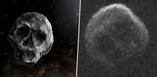 Meteorit v tvare ľudskej lebky! Okolo Zeme by mal preletieť tesne po Halloweene