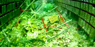 VIDEO: Tak to fakt naštve. Vodič vysokozdvižného vozíka omylom buchol do regálu a ten následne zhodili všetky ostatné v celom obchode
