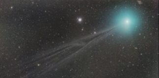 Už o pár dní budeme môcť vidieť nádhernú Vianočnú kométu, ktorá preletí tesne popri Zemi