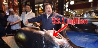 Na rybacom trhu v Tokyu sa predal rekordný tuniak za viacej ako $3 milióny