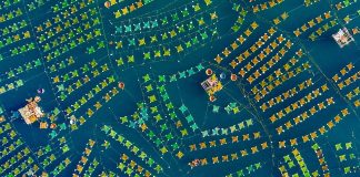 FOTO: Piaty ročník fotografickej súťaže zameranej na fotografie z dronov priniesol nádherné zábery