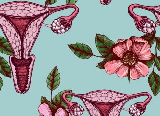 Vo Veľkej Británii otvárajú prvé múzeum vagín na svete