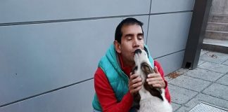 Bolívijčan našiel úžasný spôsob na záchranu túlavých psov pred hladom