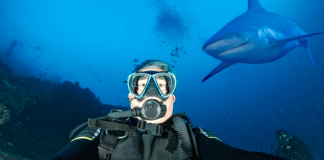 Robenie si selfie fotiek zabíja v posledných rokoch viac ľudí ako útoky žralokov