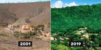 Brazílsky pár za 20 rokov obnovil zničený tropický les a vrátil tak domov zvieratám