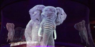 Nemecký cirkus prišiel so skvelým riešením. Namiesto živých zvierat začal používať hologramy