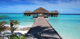 Luxusný rezort na Maldivách hľadá mladého človeka, ktorý sa bude starať o miestne korytnačky