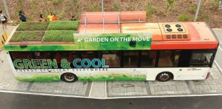 V Singapure predstavili zaujímavý projekt. Na strechy autobusov nasadili trávniky