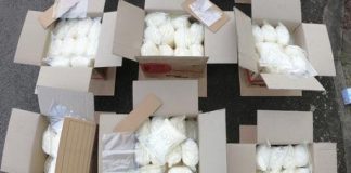 Díler prevážal 273 kíl metamfetamínu, nabúral do policajných áut a bolo po biznise