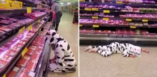 Vegánska aktivistka prišla do supermarketu v kostýme kravy oplakávať mäso
