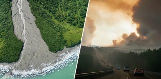 Zem zažíva najteplejšie dni v histórii. Na Aljaške sa roztopilo všetko z morského ľadu