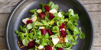 Vegánstvo môže znížiť výšku IQ kvôli nedostatku živín potrebných pre mozog