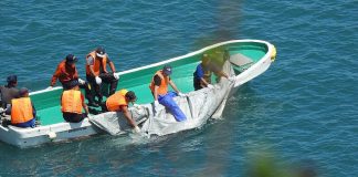 V Japonsku sa začal krutý lov delfínov: Niektoré z nich poslúžia na mäso, iné ako atrakcia