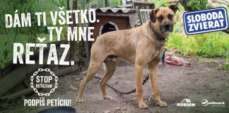 Držanie psa na reťazi zakázané nebude. A to aj napriek boju Slobody zvierat a 50 648 podpisom Slovákov