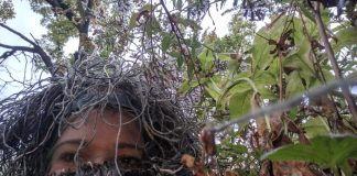 Dievča sa prezlieklo za krík! Chcela totiž nenápadne pozorovať a zaznamenávať zásnuby svojej sestry!