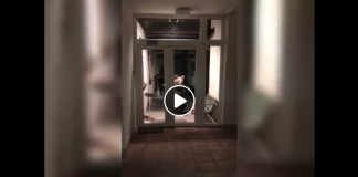 VIDEO: Vo Vysokých Tatrách napochodoval medveď rovno na policajnú stanicu!