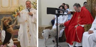 Kňaz pomáha zatúlaným psom tak, že ich prináša na nedeľné omše a ukazuje ľuďom