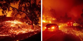 Katastrofické zábery na Kaliforniu: S lesnými požiarmi tam bojujú stovky hasičov