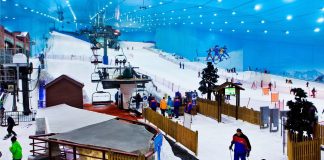 Myšlienka, vybudovať umelo postavenú lyžiarsku halu, prišila aj na Slovensko! Ľudia proti tomu však bojujú. Podpisujú petíciu aby zabránili vyrubovaniu zdravých stromov