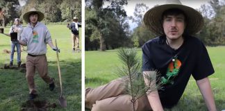 Známy YouTuber sa rozhodol vysadiť 20 miliónov stromov na boj proti zmene klímy