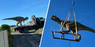 Otec chcel svojmu synovi urobiť radosť, omylom mu objednal 6-metrového dinosaura. Museli ho žeriavom zložiť na záhrade domu