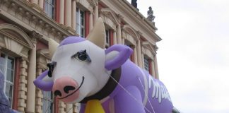 Čokoláda Milka je na trhu už viac ako 100 rokov Fialová krava čokolády Milka